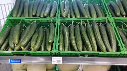 Федеральная антимонопольная служба разбирается в резко выросших ценах на огурцы