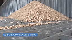 Хлебозаводы и пекарни края начали подключаться к федеральной инфосистеме «Зерно»