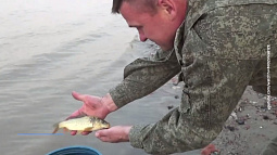 Житель Камня-на-Оби своими силами пытается восстановить популяцию рыбы в Оби