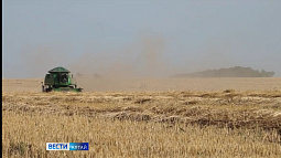Аграрии Алтайского края обмолотили около четверти урожая зерновых