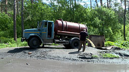 Сотни машин ежедневно сливают нечистоты в ленточном бору возле Павловска