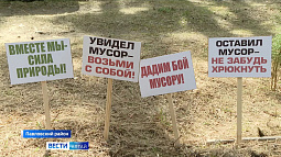 В Павловском районе прошла необычная генеральная уборка ленточного бора в формате соревнований