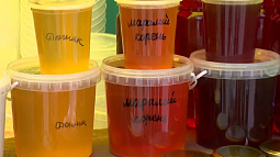  На пасеках края началась первая качка мёда