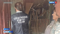 В Барнауле на приусадебном участке были обнаружены тела двух пенсионеров с огнестрельными ранениями