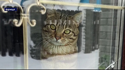 Дачники теперь могут включить своё садоводство в состав города или села 