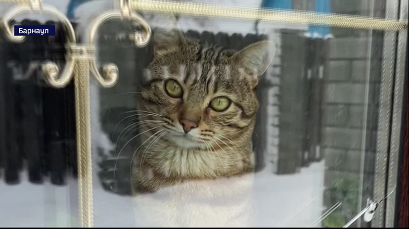 Дачники теперь могут включить своё садоводство в состав города или села 