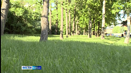 Этим летом на Алтае будет много комаров