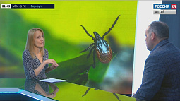 «Сезон клещей» начался, но прививки ставить ещё не поздно