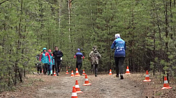 Сегодня стартуют чемпионат и первенство Алтайского края по спортивному ориентированию 
