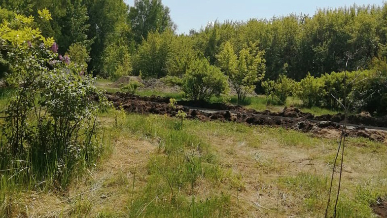 В парке «Юбилейный» продолжаются работы по благоустройству
