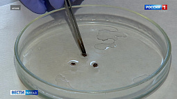 На Алтае вновь активизировались клещи