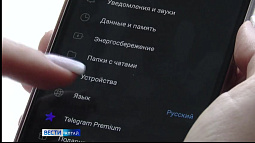 Мошенники активизировались в мессенджере Telegram