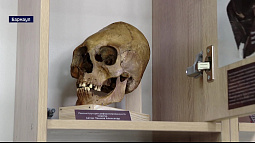 В Алтайском крае впервые прошла Сибирская школьная археологическая конференция