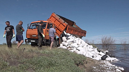 В Алтайском крае впервые по уголовной статье осудили браконьеров, промышлявших добычей цист артемии