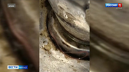 История с червями в школьном питьевом фонтанчике получила продолжение