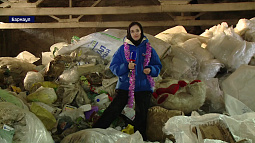 За зимние каникулы мусора становится в 2,5 раза больше, чем обычно