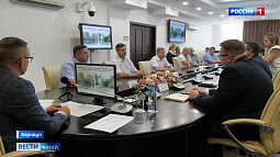 В Барнауле в парке Ленина уберут только аварийные деревья