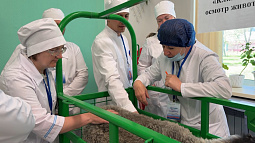 В Камне-на-Оби выбрали лучшего ветеринарного фельдшера края