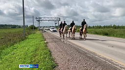 В Бийске ждут участников конного пробега Татарстан – Алтай – 2023