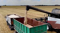 Аграрии Алтайского края продолжают завоёвывать рынок Китая