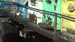 В Алтайском крае начали просыпаться пчёлы