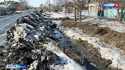 После продолжительной оттепели Алтайский край накроет снежный шторм