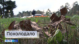 На Алтае ожидаются ночные заморозки