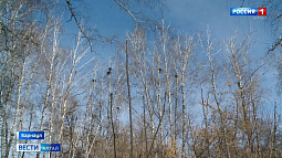 Через Южный Урал 7 марта переберётся циклон