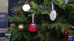 Алтайский край присоединился к всероссийской акции «Ёлка желаний»