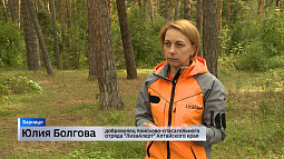 В барнаульском парке «Лесная сказка» поисково-спасательный отряд «Лиза Алерт» проведёт тренинг