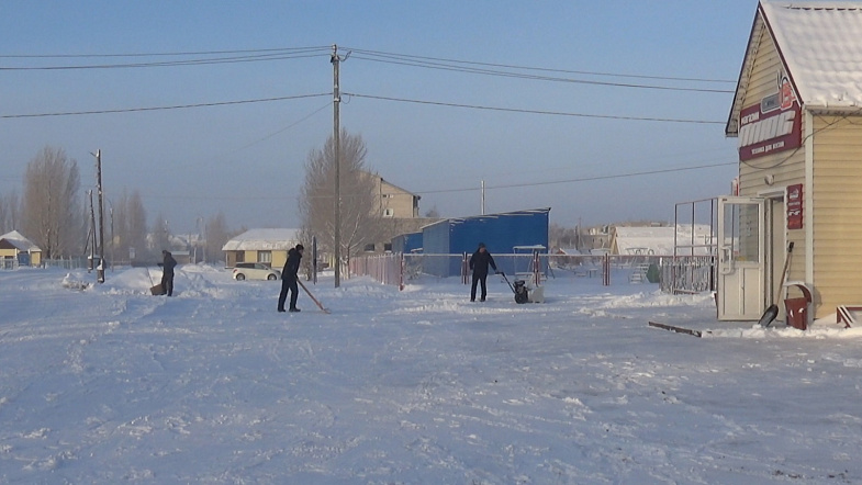 Природа взяла своё: в Кулунде впервые за зиму выпало много снега