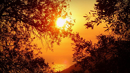 Специалист рассказал, кому стоит опасаться меланомы