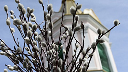 Православные отмечают Вербное воскресенье