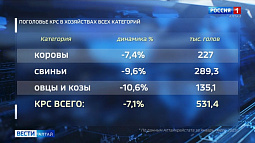 Поголовье крупного рогатого скота в хозяйствах всех категорий края сократилось