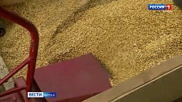 Экспорт зерна из Алтайского края увеличился в этом году вдвое