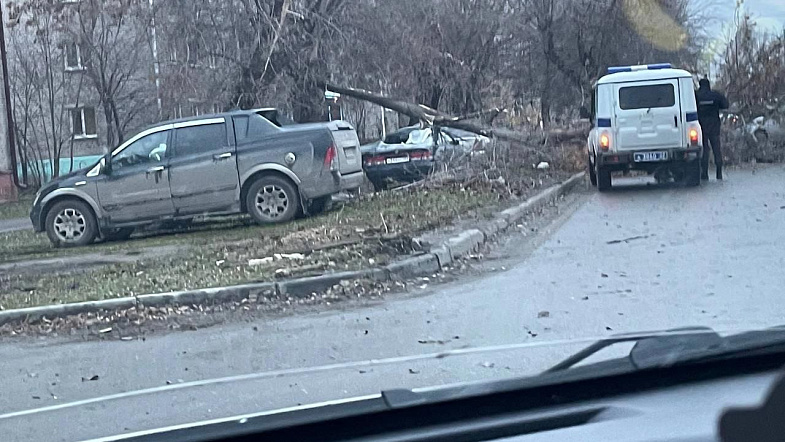 Последствия урагана на Алтае 19 ноября: сильный ветер срывает кровли домов, валит деревья