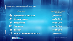 Аналитики назвали самые необычные вакансии Алтайского края