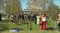 Театральную аллею высадили в Барнауле на площади Сахарова