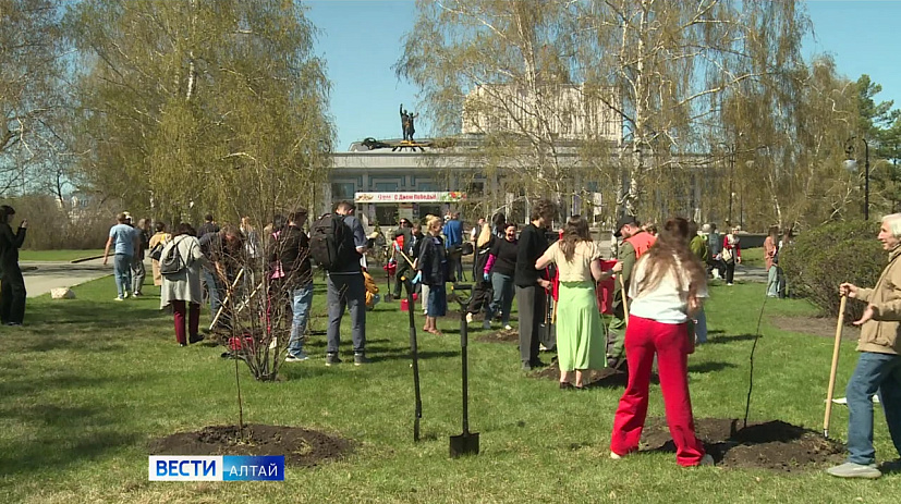 Театральную аллею высадили в Барнауле на площади Сахарова