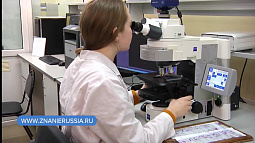 Сегодня российские учёные отмечают профессиональный праздник