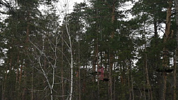 В Алтайский край возвращаются снег и морозы до -11 градусов
