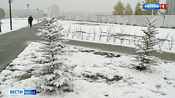 Барнаульские парки продолжают «прихорашиваться» к следующему сезону