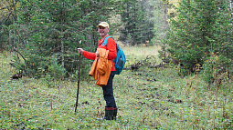 В Белокурихе разрабатывают новые маршруты для хилинг-туризма