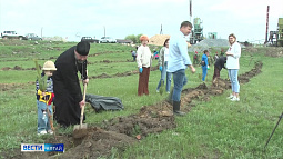 В Алтайском крае на 100% выполнен план по весенней посадке леса