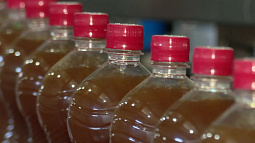 Какой квас больше всего любят на Алтае?