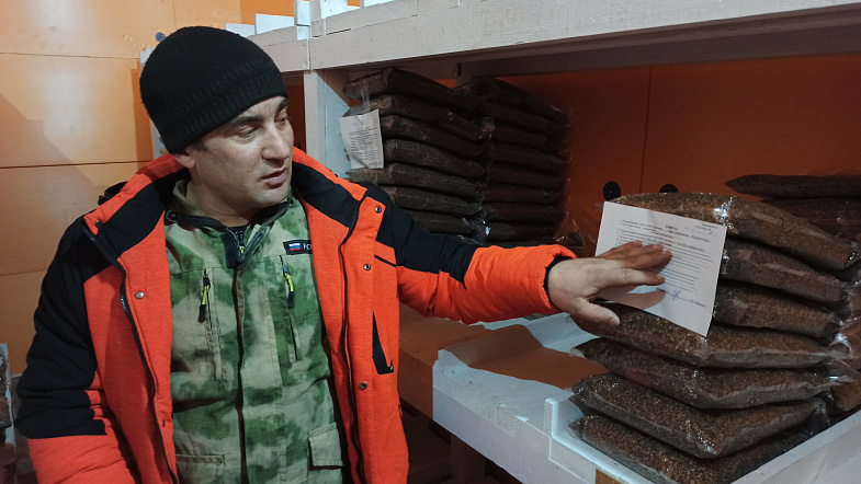 «Набили шишек, но достигли результата»: в Вылково вырастили 1 млн сеянцев с закрытой корневой системой