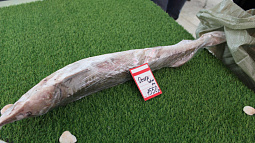 Барнаульца задержали за торговлю ценной рыбой