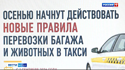 С 1 сентября в России изменятся правила перевозки багажа, ручной клади и животных в такси