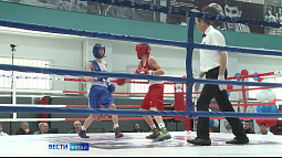 В Камне-на-Оби подвели итоги межрегионального турнира памяти Олега Луцика