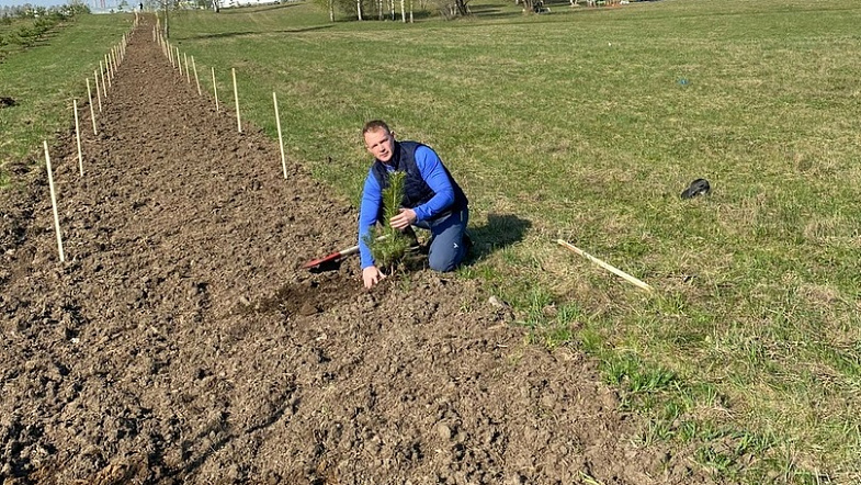 «На одно уничтоженное дерево – посадить два»: как житель Заринска делает город вечнозелёным